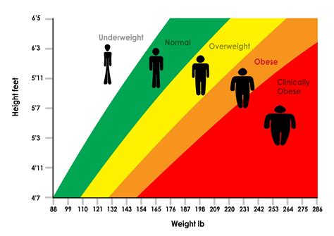 weight super obese life expectancy
